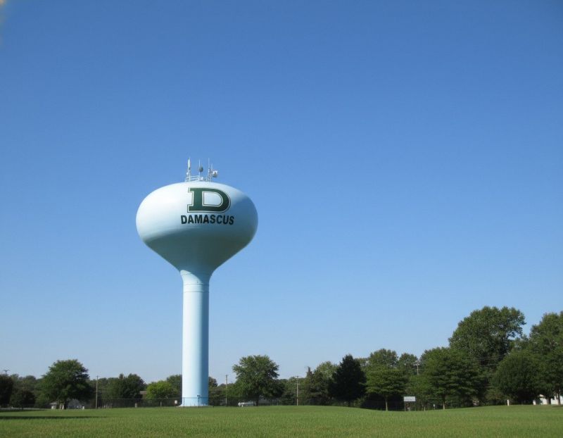 Flat Roof Repair in Winfield, IL