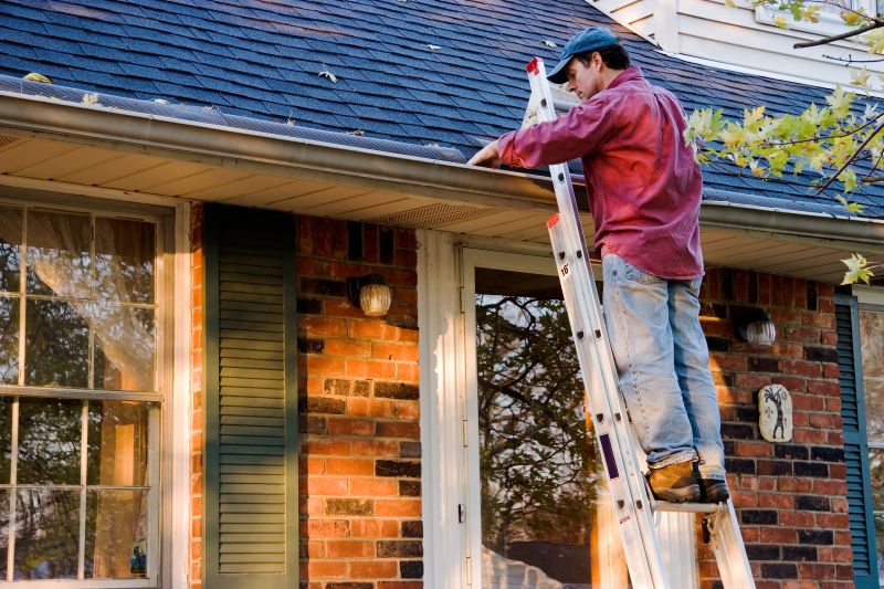Gutter and Roof Covering Services